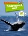 Подводный мир фото книги маленькое 2
