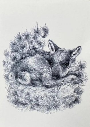 Открытка "Иду по тайге. Олененок" фото книги