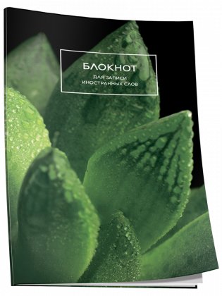 Блокнот для записи иностранных слов. Суккулент фото книги