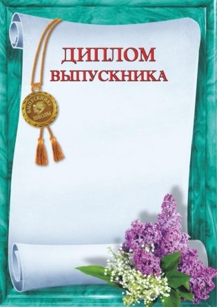 Диплом выпускника школы (1519) фото книги