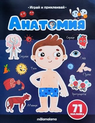 Анатомия фото книги