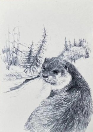 Открытка "Иду по тайге. Выдра" фото книги