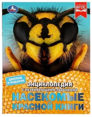 Насекомые Красной книги. Энциклопедия с заданиями фото книги