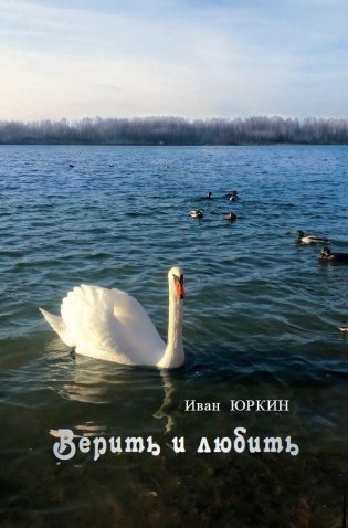 Верить и любить: избранные стихи и песни фото книги