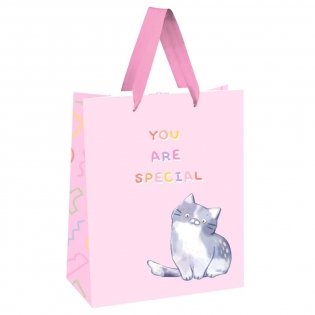 Пакет подарочный 18х23х10 см MESHU "You are special", выб. лак, белый крафт. Арт. MS_51743 фото книги