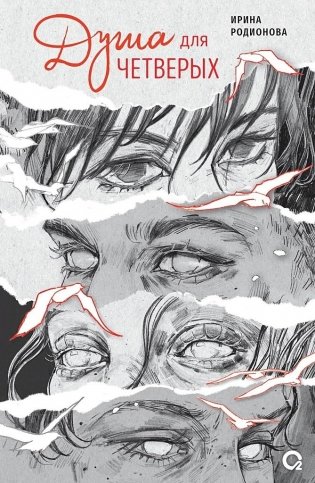 Душа для четверых фото книги