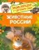 Животные России. Энциклопедия для детского сада фото книги маленькое 2
