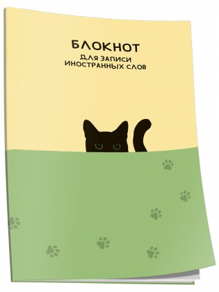 Блокнот для записи иностранных слов. Кот фото книги