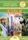Азия. Серия "Мир путешествий" фото книги маленькое 2