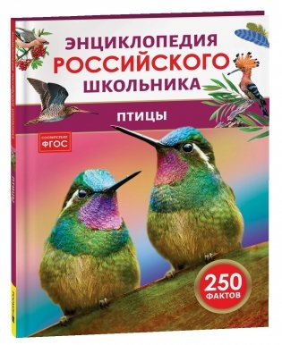 Птицы. Энциклопедия российского школьника фото книги