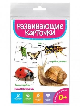 Развивающие карточки. Насекомые фото книги