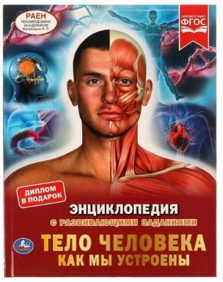 Тело человека. Как мы устроены. Энциклопедия фото книги