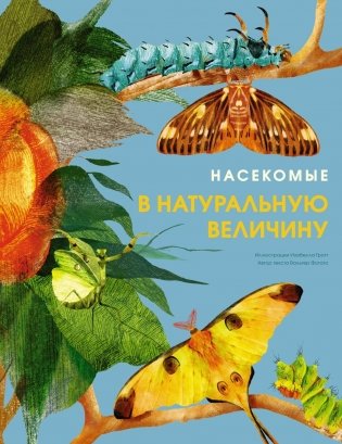 Насекомые в натуральную величину фото книги