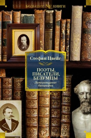 Поэты, писатели, безумцы. Литературные биографии фото книги