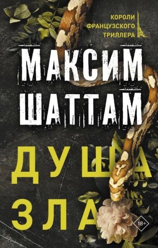 Душа зла фото книги