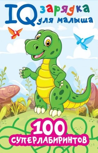 100 суперлабиринтов фото книги