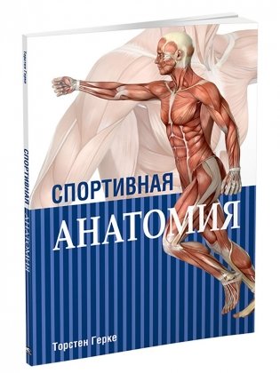 Спортивная анатомия фото книги
