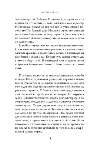 Железный рыцарь (#4) фото книги 15