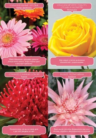 Магия цветочной терапии. 44 карты + инструкция фото книги 4