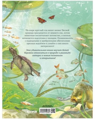 Секреты животных озера. Визуальная энциклопедия фото книги 11