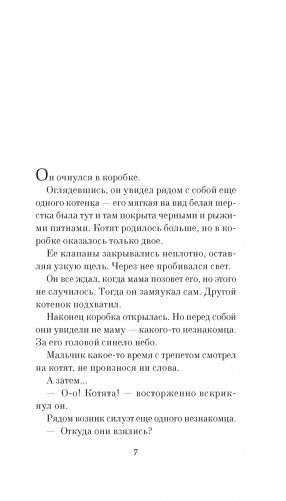 Прощание с котом фото книги 5