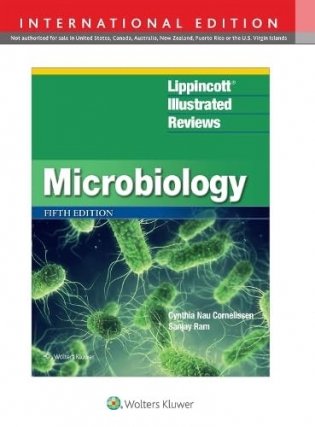 Lippincott Illustrated Reviews: Microbiology фото книги