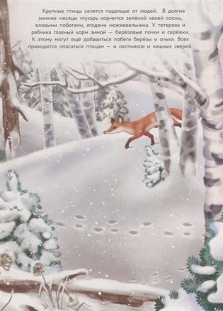 Птички зимой. Дополни картинку фото книги 2