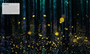 Explanatorium of Nature фото книги 6