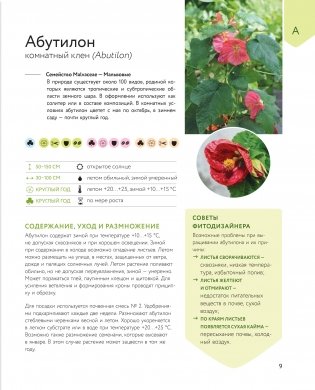 Зеленый оазис. Комнатные растения от А до Я фото книги 5