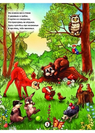 Летом в лесу фото книги 2