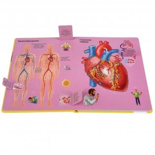 Тело человека фото книги 4