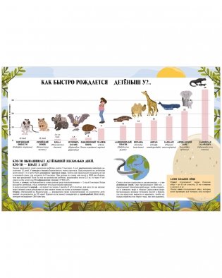 Большая энциклопедия CLEVER. Земля от атома до галактики. Масштабы мира в цифрах фото книги 6
