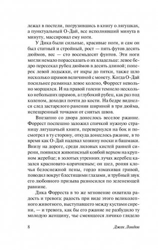 Маленькая хозяйка Большого дома фото книги 9