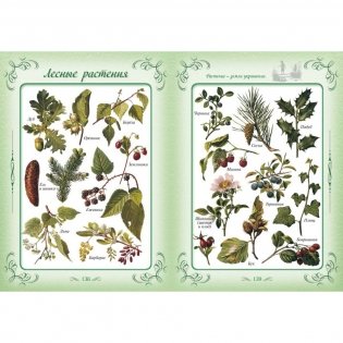 Первая книга наших прабабушек фото книги 7