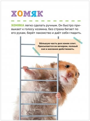 Домашние питомцы. Первая энциклопедия малыша фото книги 5