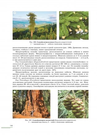 Ботаника фото книги 5