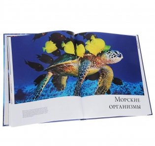 Океаны. Иллюстрированный атлас фото книги 3