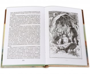 Приключения Гекльберри Финна фото книги 5