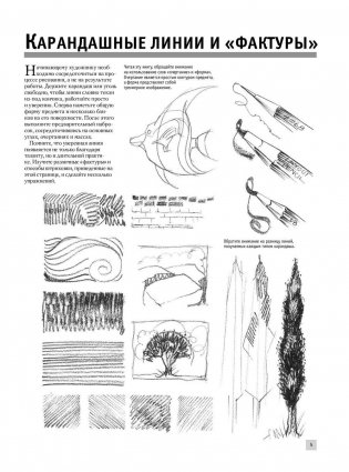 Полный курс рисования фото книги 6