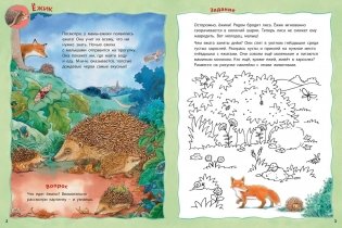 Кто живёт на опушке? Книжка-активити с развивающими заданиями, головоломками, наклейками фото книги 2