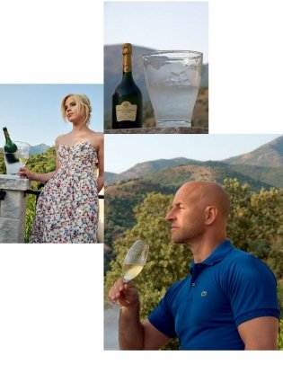 Шампанское: 8000 вкусов и ароматов фото книги 13