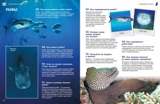 Подводный мир фото книги 5