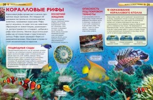 Моря и океаны. Детская энциклопедия фото книги 4