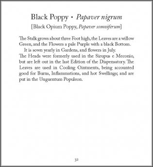 Healing Plants: From Elizabeth Blackwell's Curious Herbal (Tiny Folio) фото книги 4