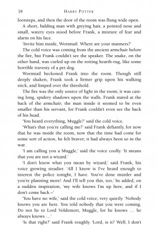 Harry Potter and the Goblet of Fire фото книги 13