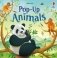 Pop-Up Animals фото книги маленькое 2