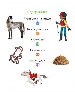 Лошади фото книги 2