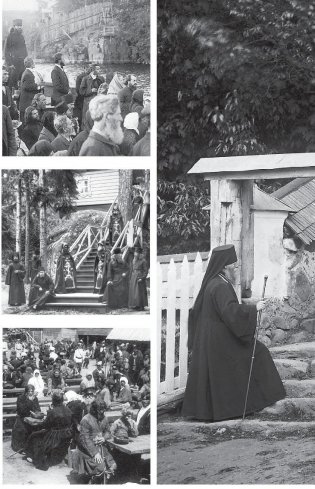 Радость кроткого любящего духа фото книги 11