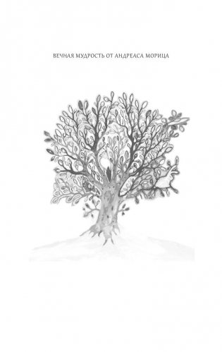 Удивительные рецепты здоровья и счастья от Андреаса Морица фото книги 3