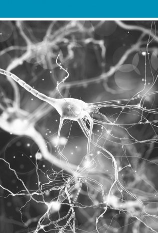 Настройка системы тело—мозг. Простые упражнения для активации блуждающего нерва против депрессии, стресса, болей в теле и проблем с пищеварением фото книги 6